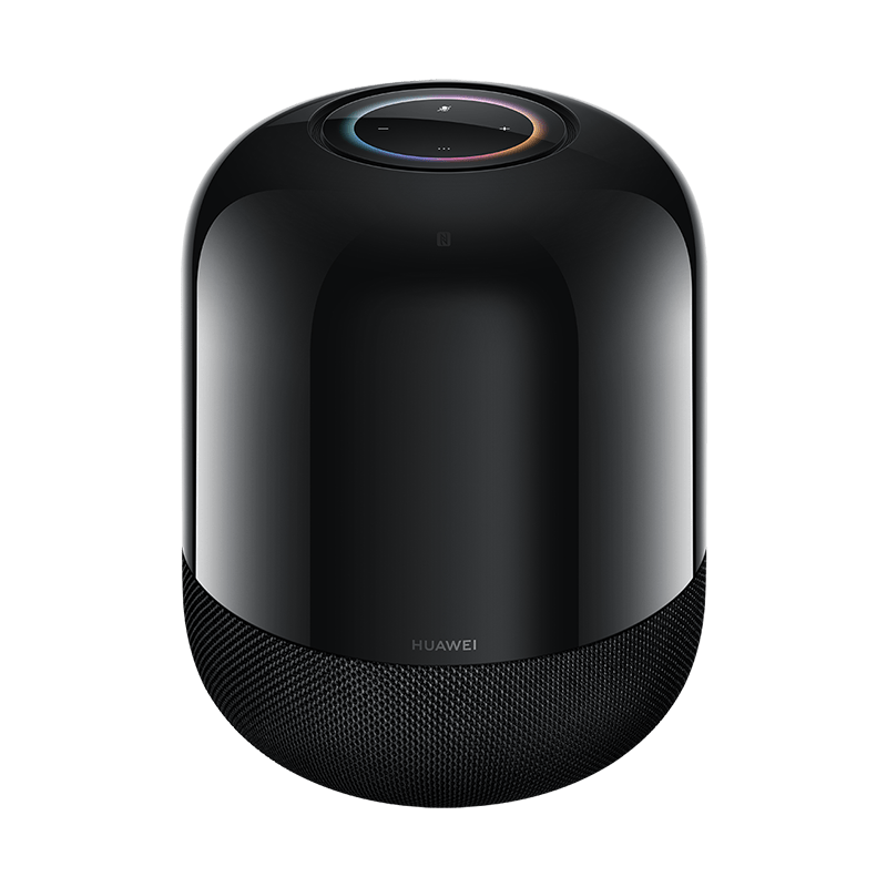 Earphones and Speaker