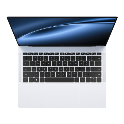 X pro 13 online